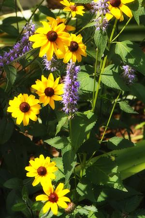 Premium Photographic Print, , small