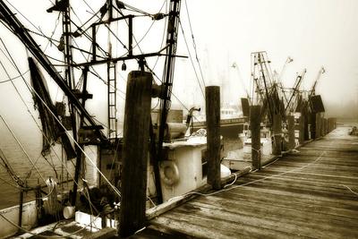 Premium Photographic Print, , small