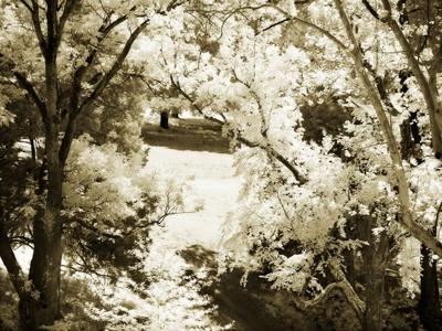 Premium Photographic Print, , small