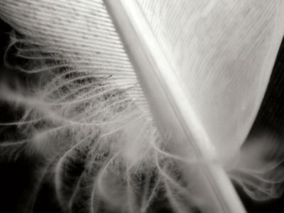 Premium Photographic Print, , small