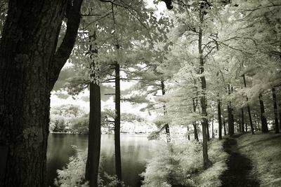 Premium Photographic Print, , small