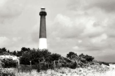 Premium Photographic Print, , small