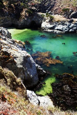 Premium Photographic Print, , small