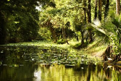 Premium Photographic Print, , small