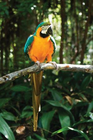 Premium Photographic Print, , small