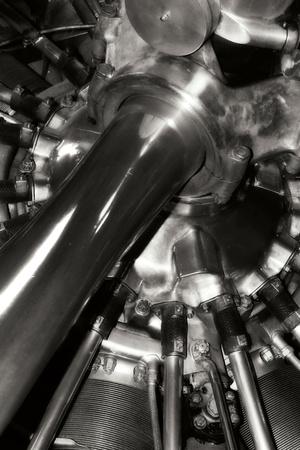 Premium Photographic Print, , small