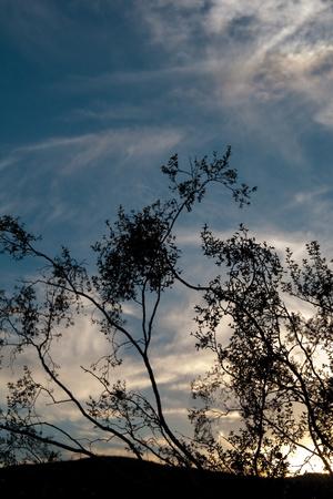 Premium Photographic Print, , small