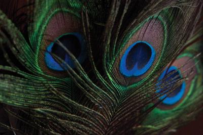 Premium Photographic Print, , small