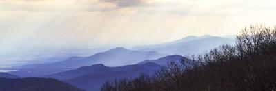 Premium Photographic Print, , small