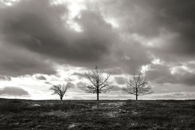 Premium Photographic Print, , small