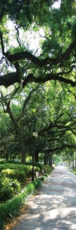 Premium Photographic Print, , small