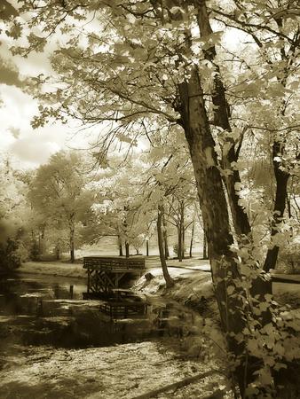 Premium Photographic Print, , small