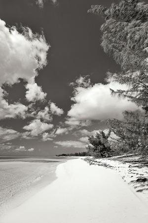 Premium Photographic Print, , small