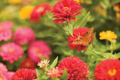 Premium Photographic Print, , small