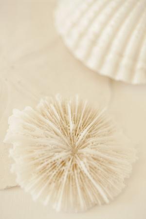 Premium Photographic Print, , small