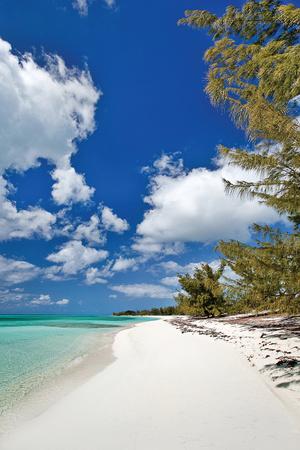 Premium Photographic Print, , small
