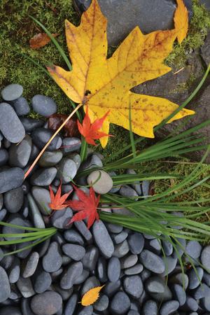 Premium Photographic Print, , small