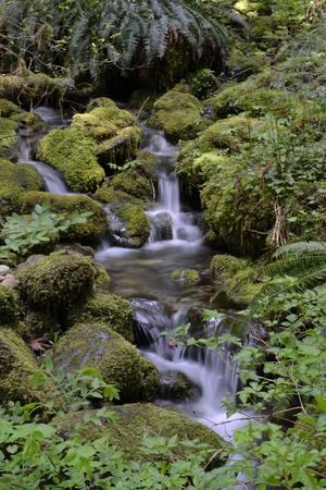 Premium Photographic Print, , small