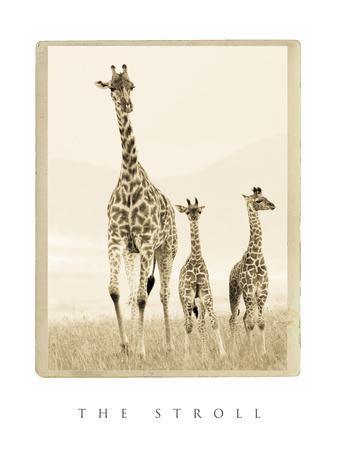 Premium Photographic Print, , small