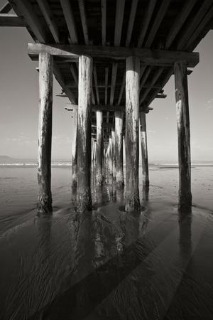 Premium Photographic Print, , small