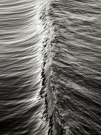 Premium Photographic Print, , small