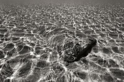 Premium Photographic Print, , small