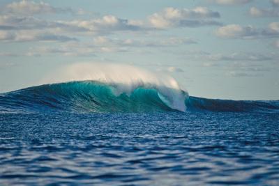 Premium Photographic Print, , small
