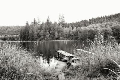 Premium Photographic Print, , small