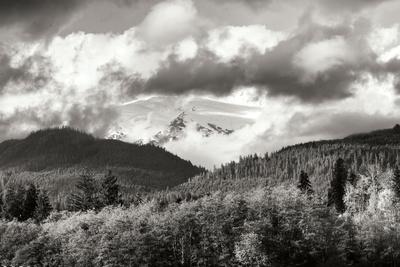 Premium Photographic Print, , small