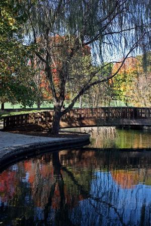Premium Photographic Print, , small