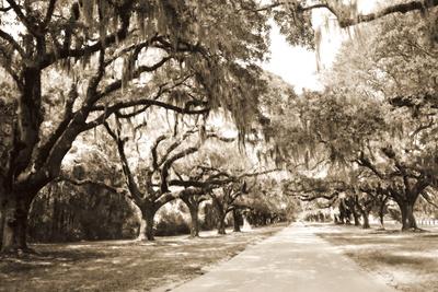 Premium Photographic Print, , small