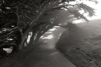 Premium Photographic Print, , small