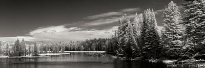 Premium Photographic Print, , small