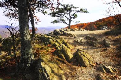 Premium Photographic Print, , small