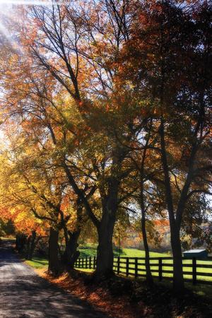 Premium Photographic Print, , small