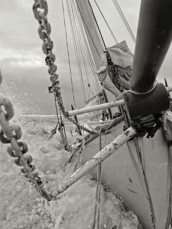 Premium Photographic Print, , small