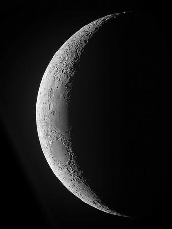 Photographic Print, , small