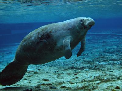 Photographic Print, , small