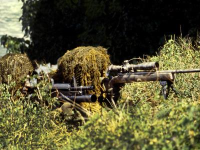 Photographic Print, , small