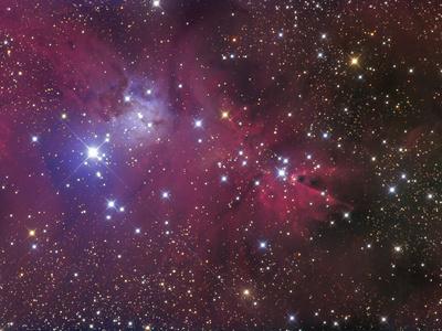 Photographic Print, , small