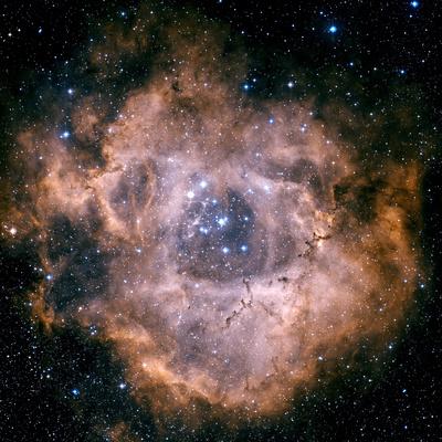 Photographic Print, , small