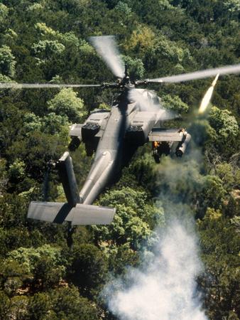 Photographic Print, , small