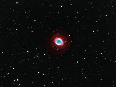 Photographic Print, , small