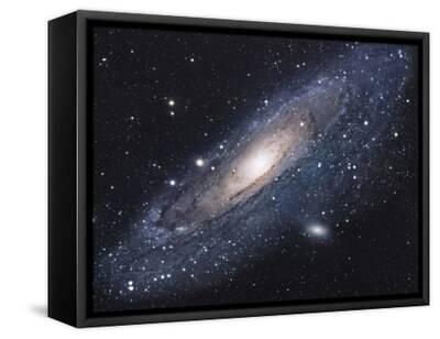 Stretched Canvas Print, , small