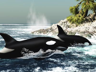 Photographic Print, , small