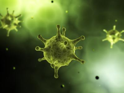 Photographic Print, , small