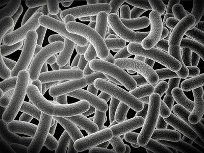 Photographic Print, , small