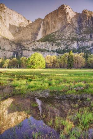 Premium Photographic Print, , small