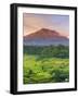 Indonesia, Bali, Redang, View of Rice Terraces and Gunung Agung Volcano-Michele Falzone-Framed Photographic Print