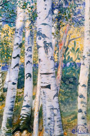 Premium Giclee Print, , small